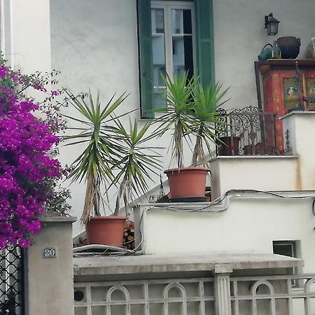 Villa Cécile Ajaccio  Extérieur photo