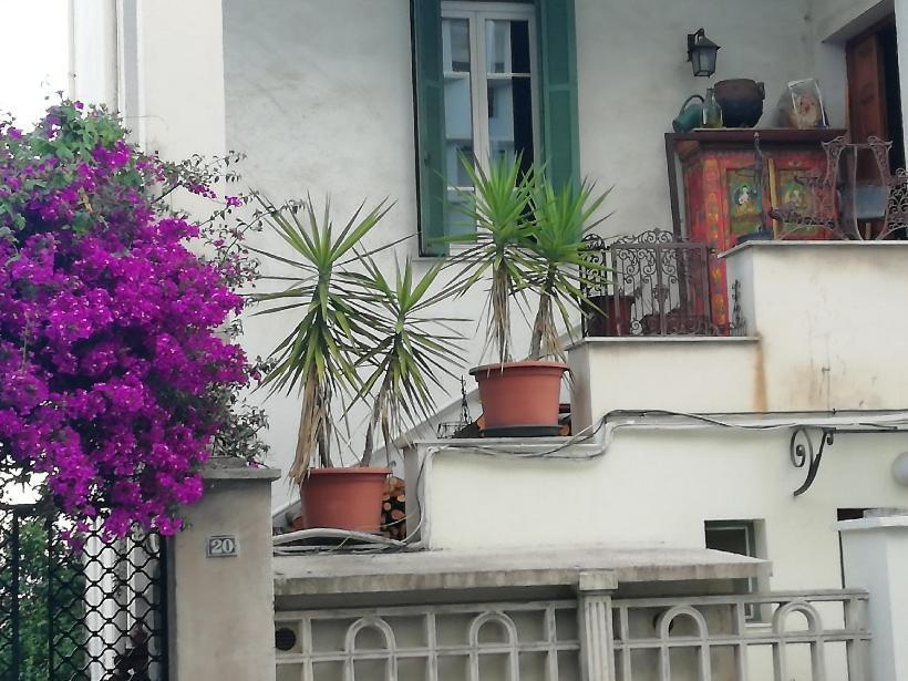 Villa Cécile Ajaccio  Extérieur photo